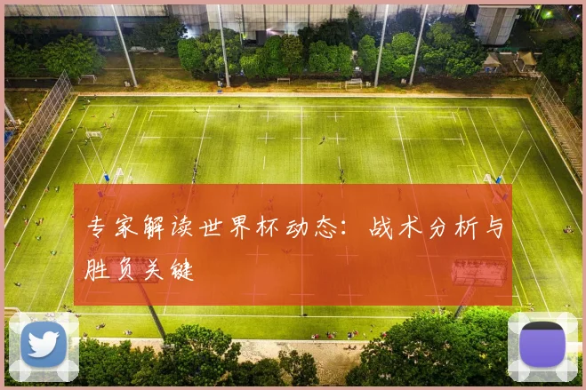 专家解读世界杯动态：战术分析与胜负关键