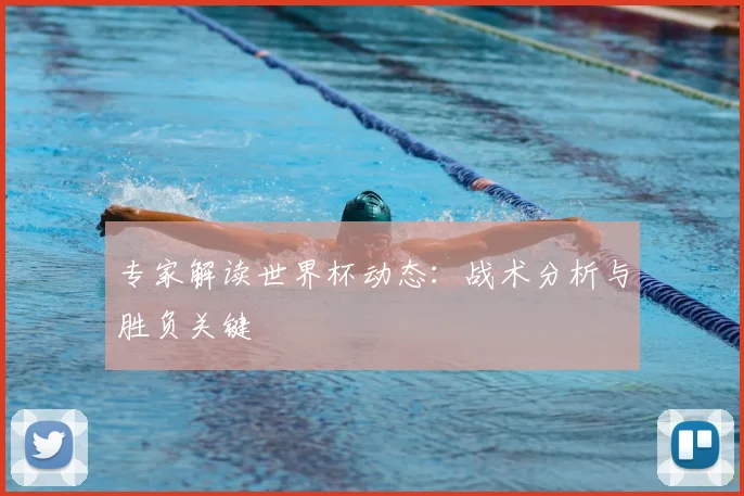 专家解读世界杯动态：战术分析与胜负关键